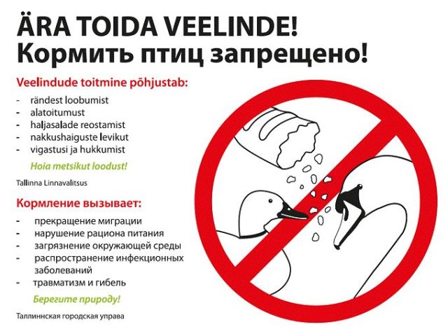 Ära toida veelinde