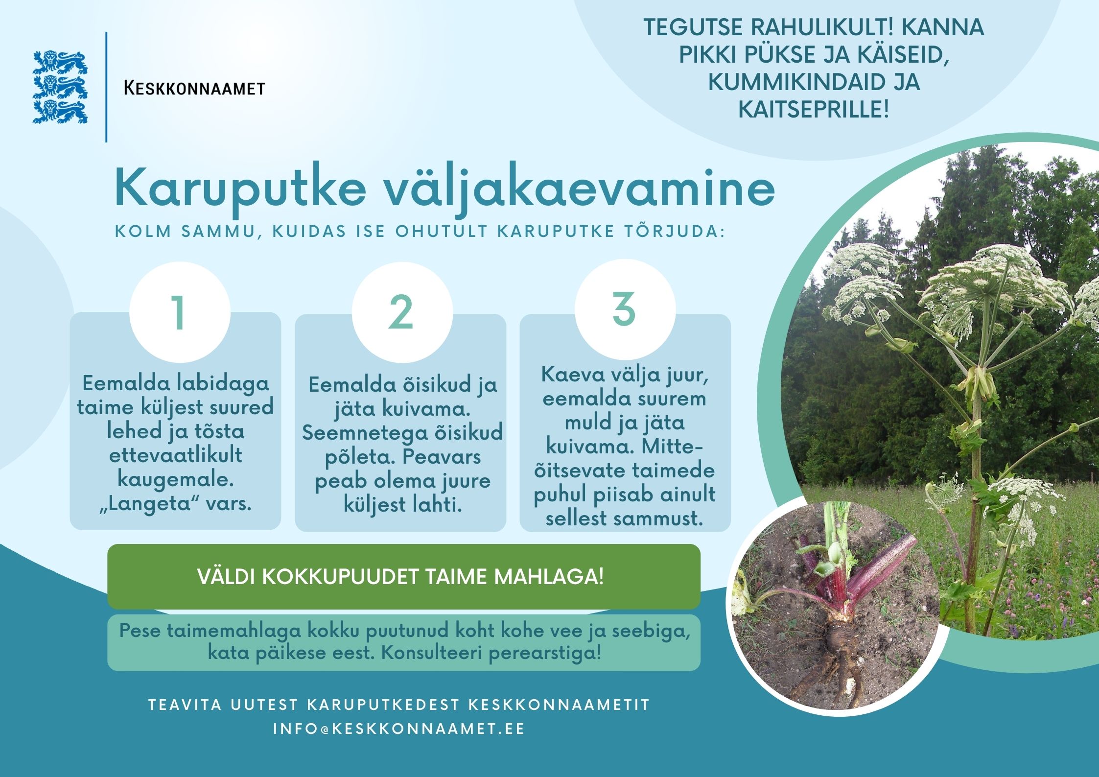 Juhis, kuidas karuputke võõrliike välja kaevata