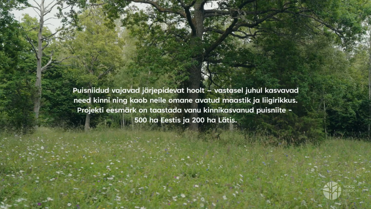 Suvine puisniit, esiplaanil õitsvad taimed, tagaplaanil puud. Pildil keskel kuvatud neljas reas tekst, all paremas nurgas projekti logo.