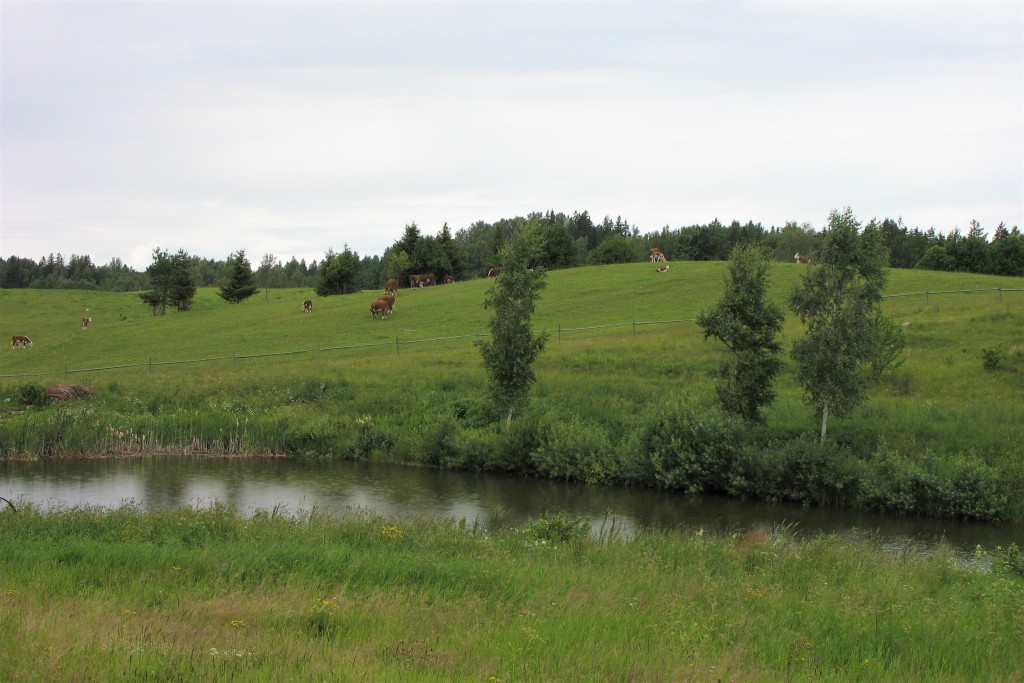 Otepää looduspark. Foto: Kaili Viilma