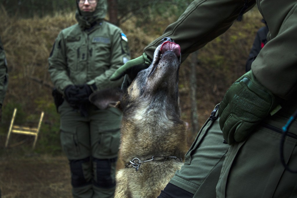 Keskkonnainspektorid harjutasid laskmist ja koostööd politseikoertega (4)