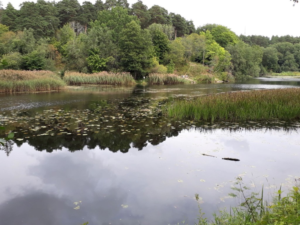 Pirita jõgi. Foto Imbi Mets