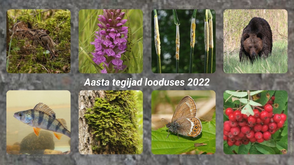Aasta tegijad looduses 2022
