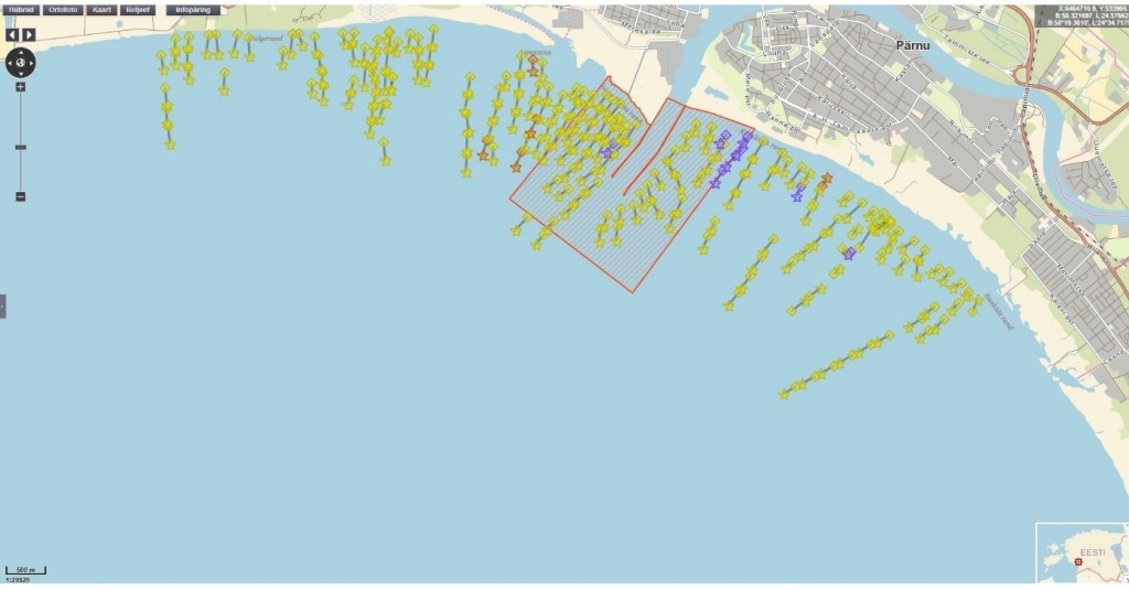 tindimõrrad Pärnu lahes 2021 aprillis.jpg