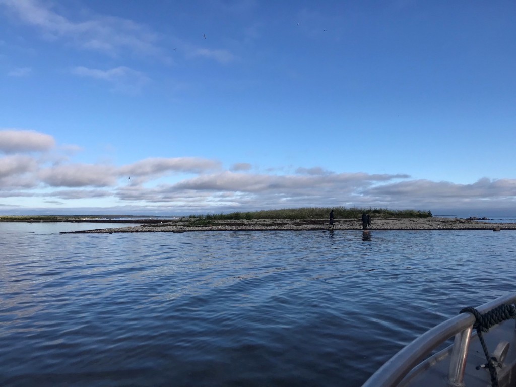 masuudi koristamine Hiiumaa randadel