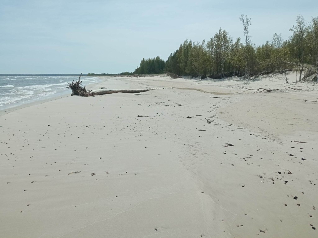masuudireostus liival.jpg
