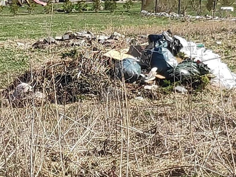prügi lõkkes_Foto Mari Kala.jpeg