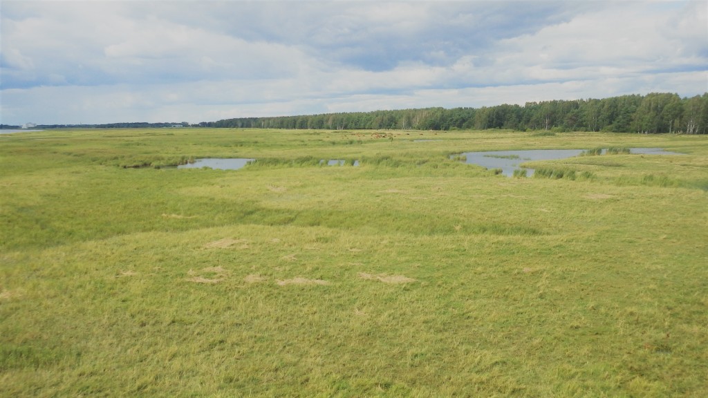 Pärnu rannaniit Raekülas