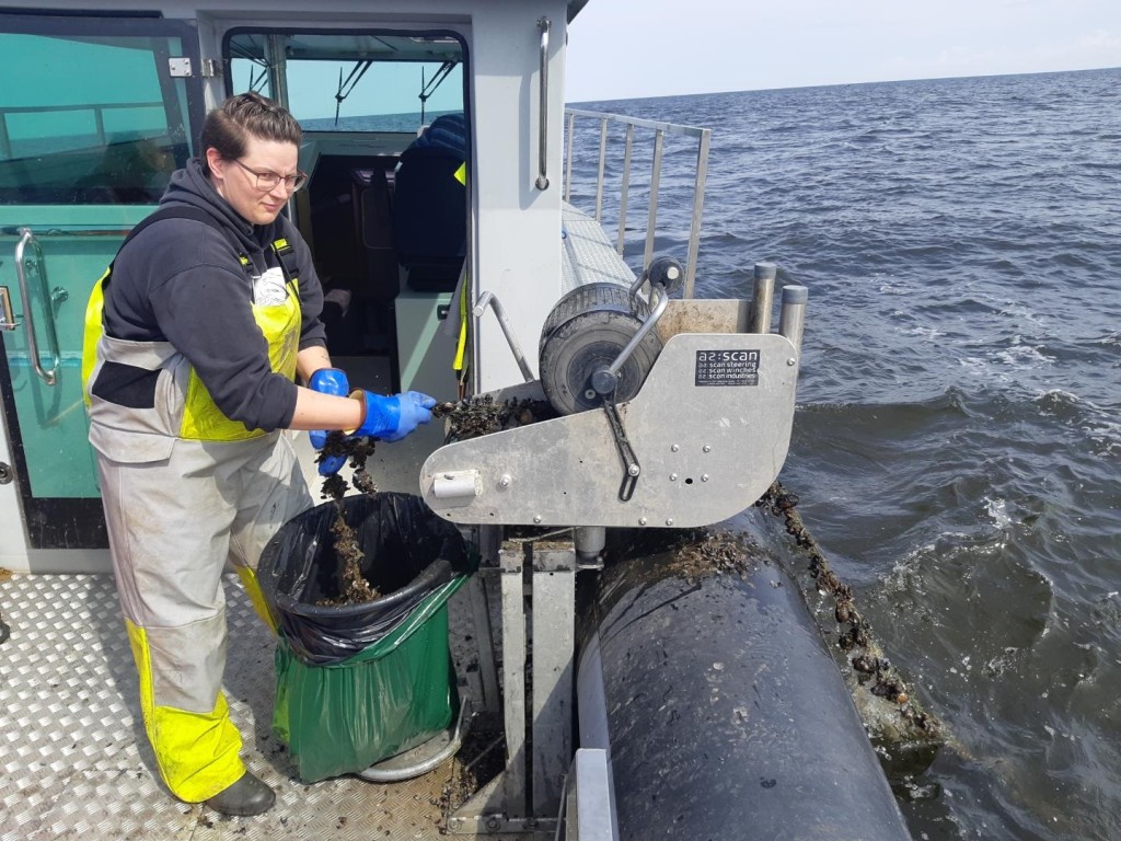 Võrkude tragimine Peipsil