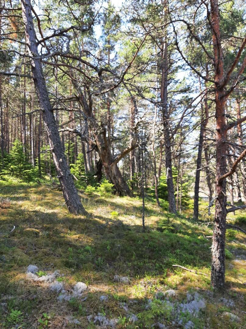 Hiiumaa