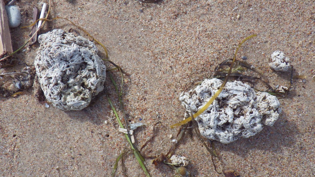 Reostus Hiiumaal