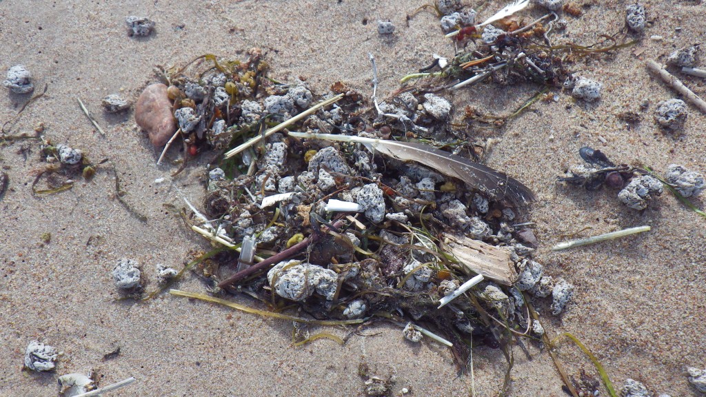 Rannale uhutud reostus Hiiumaal