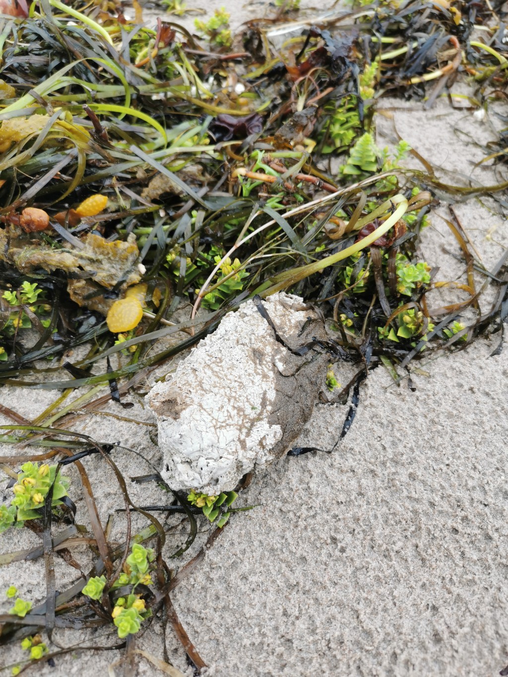 Reostus Saaremaa rannikul