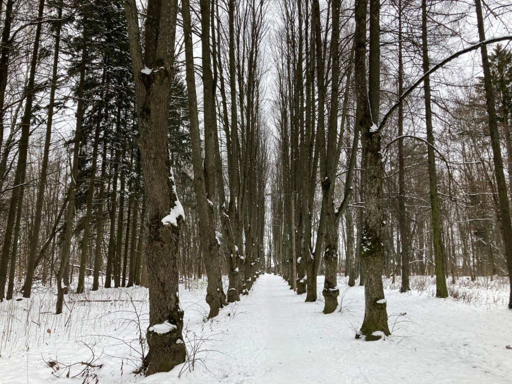 Sanatooriumi park
