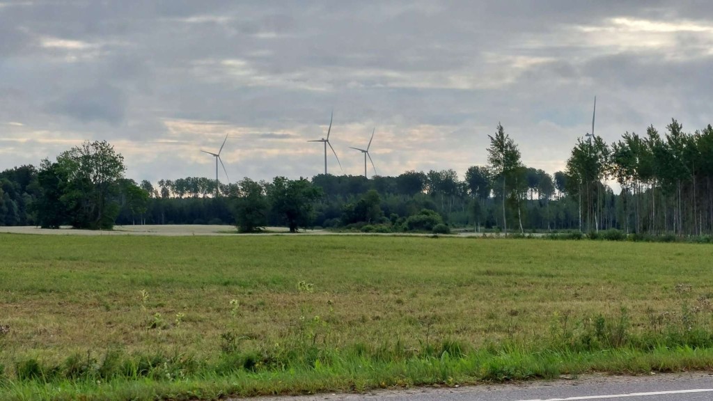 Foto_Olavi Kärner.JPEG