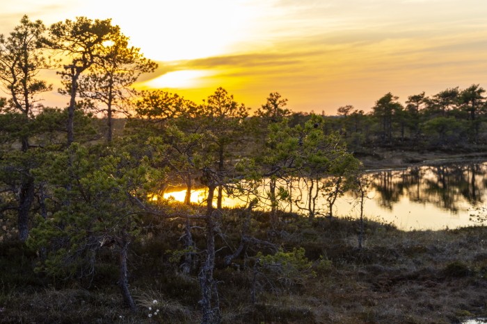 Soomaa rahvuspark Kuresoo Foto Sandra Urvak.jpg