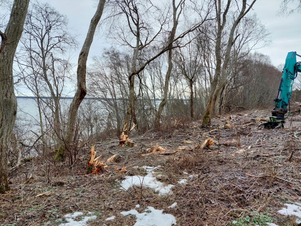 Raie Pakri maastikukaitsealal_foto Keskkonnaamet.jpg