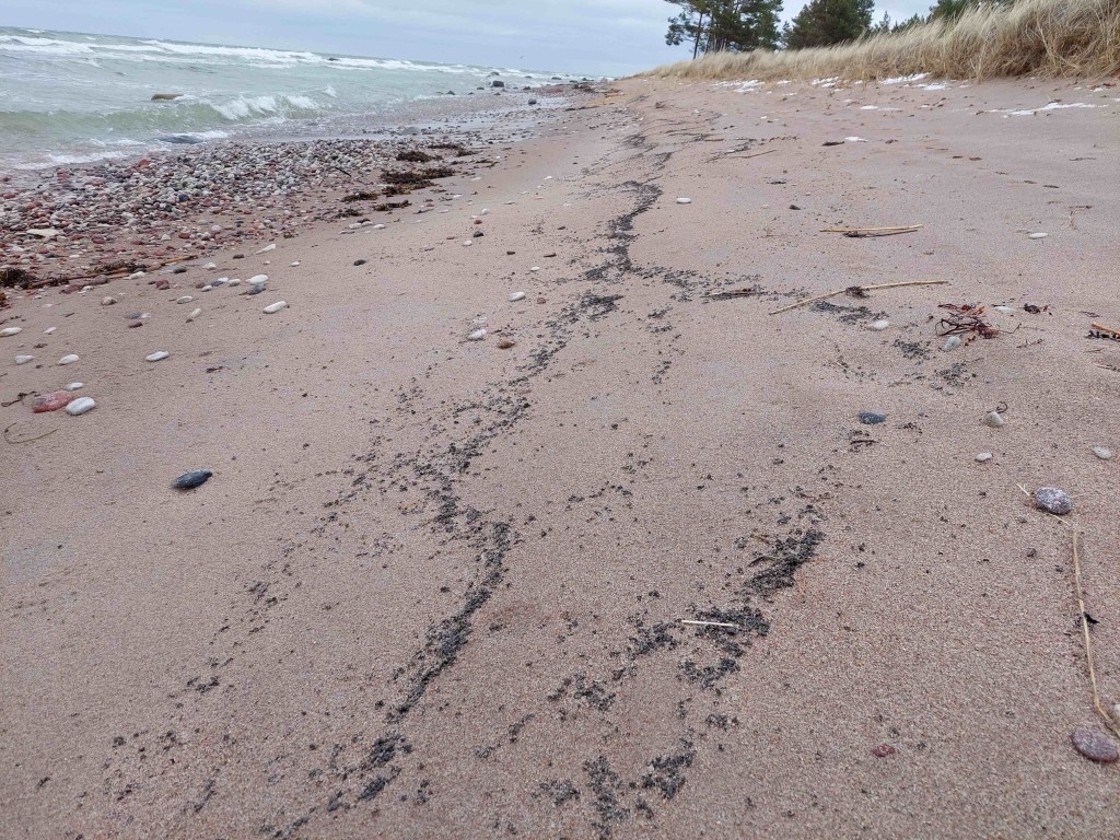Hiiumaa rannikureostus aprillis 2024
