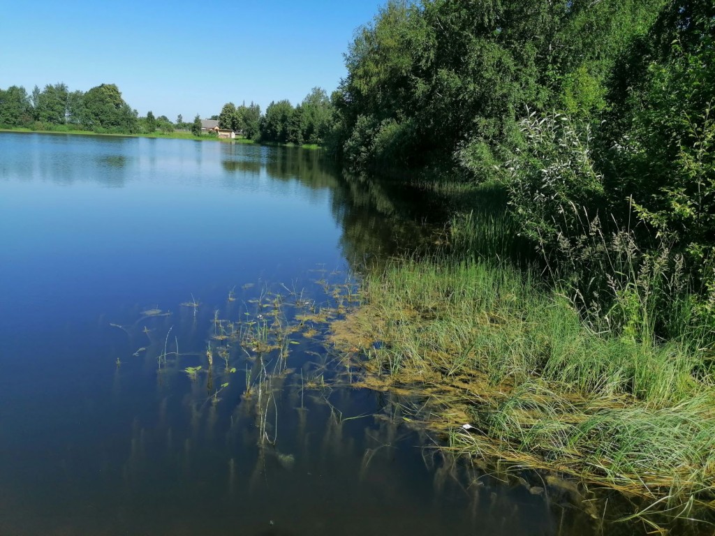 Vana-Koiola järv_Foto Keskkonnaamet .jpg