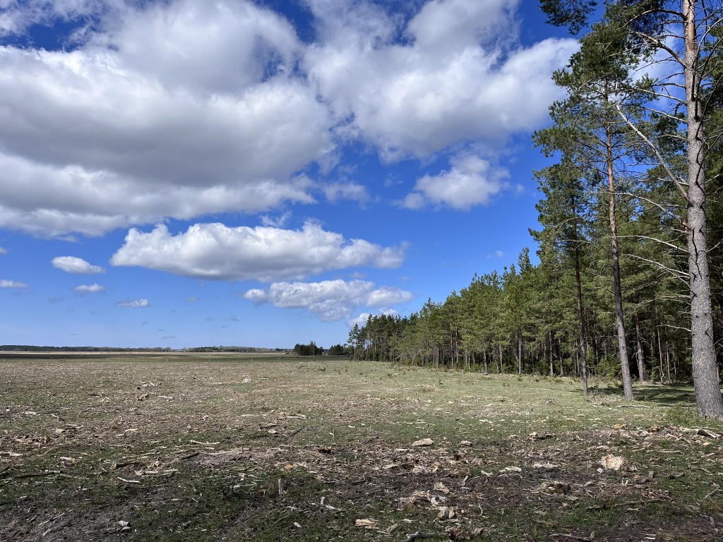 Rannaniidu taastamine Vesimaa projektialal.JPEG