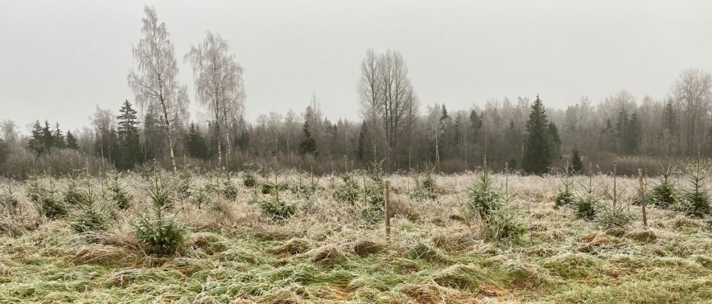 Ootepää looduspark