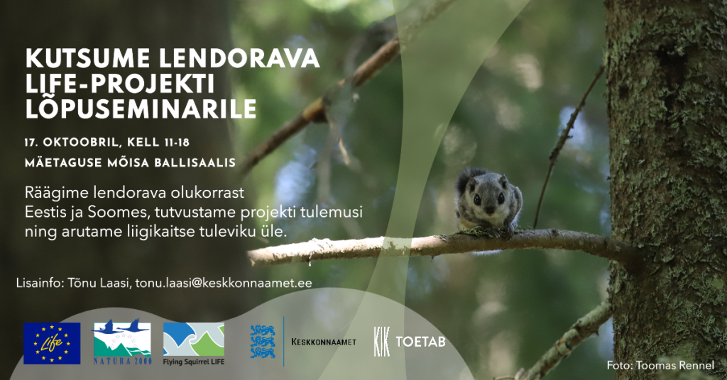 seminarikutse veebi.png