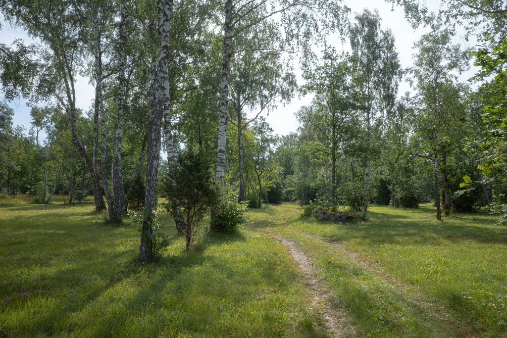 Kingli hoiuala puisniit_Foto autor Tiit Hallikma.jpg