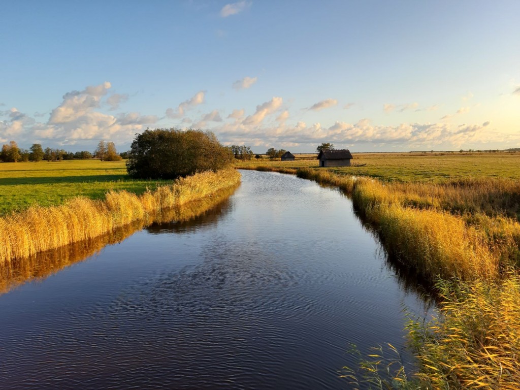 Matsalu rahvuspark 
