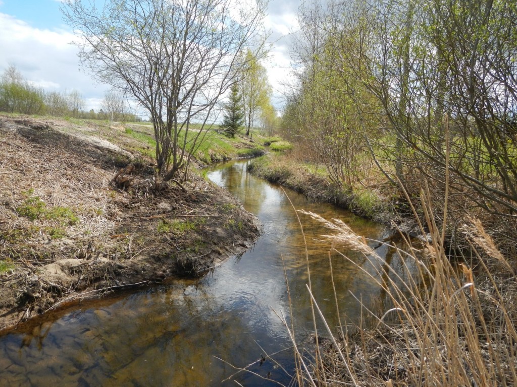 Jänijõgi