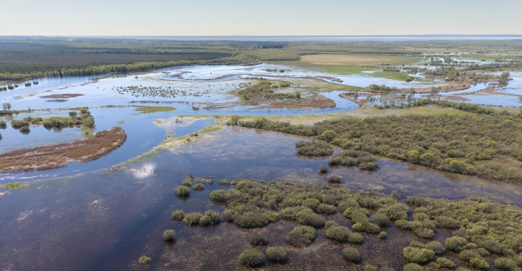 Alam-Pedja looduskaitseala, Palupõhja
