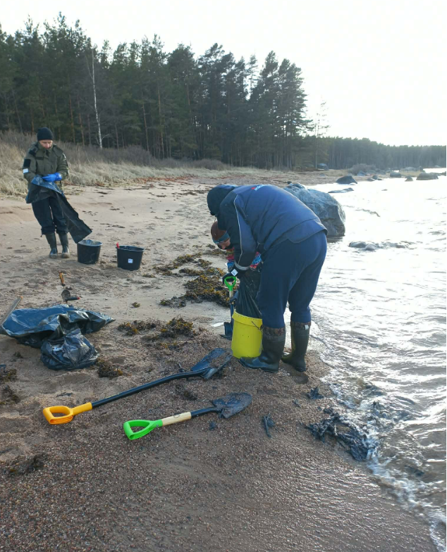 Reostuse koristamine