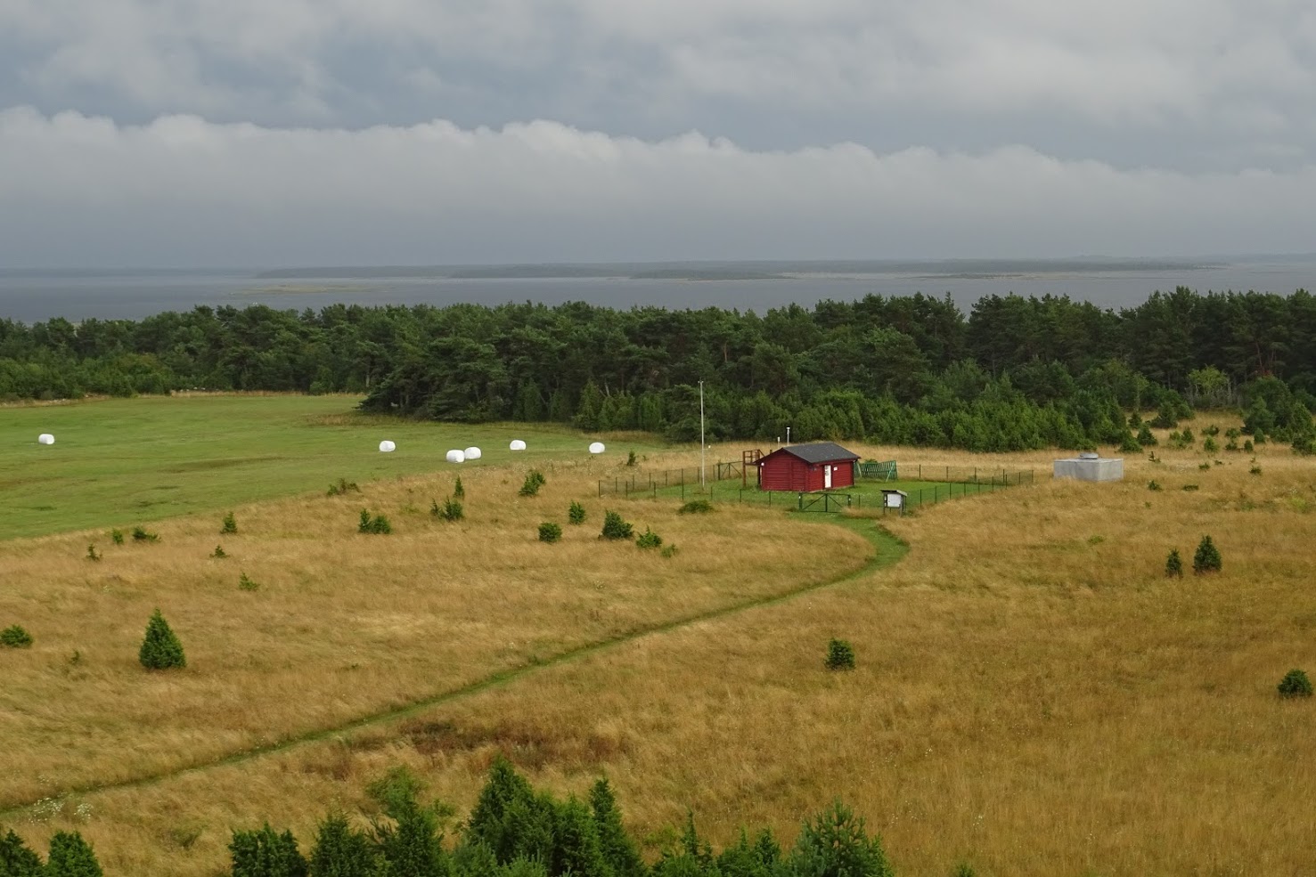 foto_martin_nurme.jpg