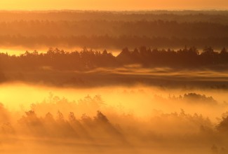 päikesetõus udusel maastikul